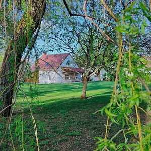 Domaine St Loup - Gite "Le Petit Loup" - 6 Pers- 10Min Beaune Villa Saint-Loup-Geanges Exterior photo