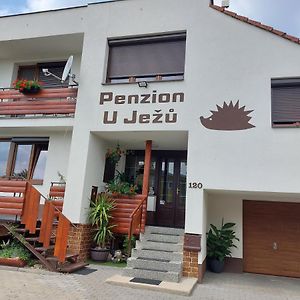 Penzion U Jezu - Ubytovani Apartment ปาโซฮาฟกี Exterior photo