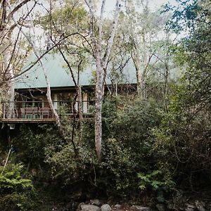 Rockwood Karkloof Forest Lodge & Mountain Cabin Karkloof Nature Reserve Exterior photo