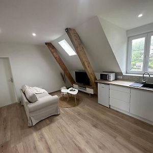 Bel Appartement Cosy Proche De La Frontiere Suisse วีลเลส์-เลอ-ลาค Exterior photo