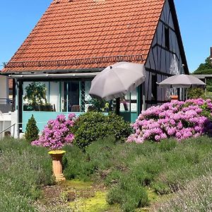 Ferienhaus Mit Sauna, Wintergarten Und Terrasse Im Schoenen Hochtaunus Villa กลาสฮึทเทน Exterior photo