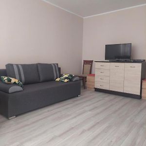 Apartament L14, Mieszkanie Dla Wszystkich Apartment โคนิน Exterior photo