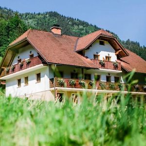 Country House - Turisticna Kmetija Ambroz Gregorc Villa โซลกาวา Exterior photo