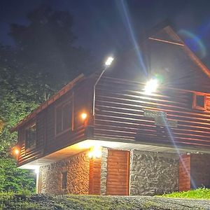 Log Cabin 1 Merdovic Bed & Breakfast โมจโคแวก Exterior photo