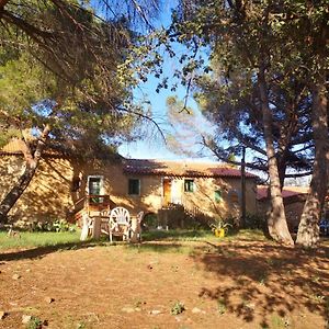 Maison Entiere Hameau Monastir Del Camp Villa Passa Exterior photo