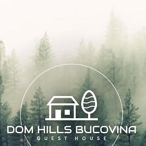 Dom Hills Bucovina Hotel กูรา ฮูมอรูลุย Exterior photo