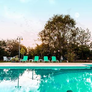 Beachfront Luxury Villa-Private Pool,Garden Heaven คิปปาริสเซีย Exterior photo