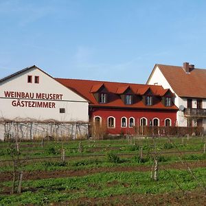 Weinbau & Pension - Familie Birgit Und Bernhard Meusert Hotel โฟลคาค Exterior photo