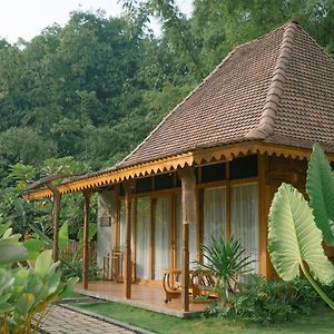 Chandaka Borobudur Hotel มาเกอลัง Exterior photo