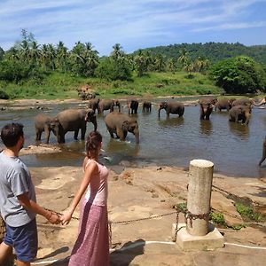 Peacock Village Pinnawala พินนาวาลา Exterior photo