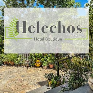 Helechos Hotel โกมายากัว Exterior photo