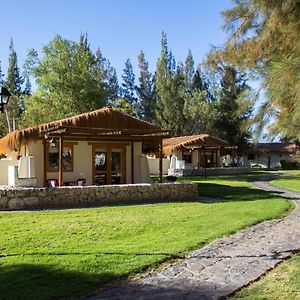 Cabanas La Huayca - Caja Los Andes ปิกา Exterior photo