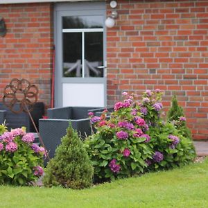 Balzwiekje Auszeit Auf Pferdehof In Ostfriesland Ihlow  Exterior photo