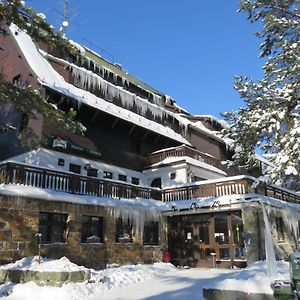 Penzion Sykovec Hotel ทรีสตูดเน Exterior photo