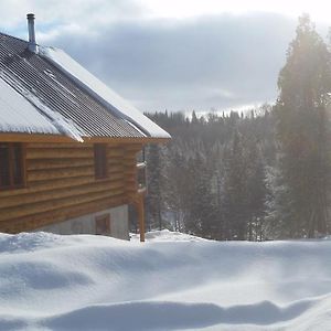 Chalet Bois Rond Aux Paysages Uniques Avec Spa ! Villa Lac-aux-Sables Exterior photo