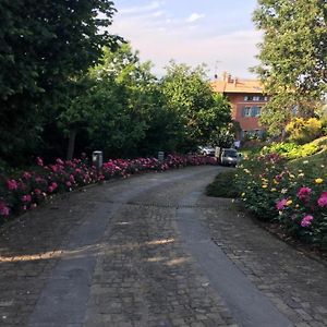 Tenuta Cantaia Villa San Lorenzo in Collina Exterior photo