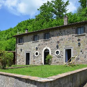 Spacious Villa In Sermugnano With Swimming Pool Castiglione In Teverina Exterior photo