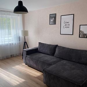 Cozy Two Room Apartment Near City Centre Alytus Exterior photo