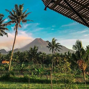 Nyawang Merapi Bed & Breakfast Cangkringan Exterior photo