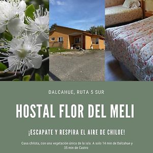 Hostal Flor Del Meli Bed & Breakfast ดัลกากุย Exterior photo