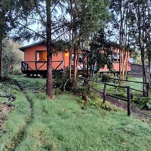 Casa O Habitacion En Carretera Austral Guest House ปวยร์โตมอนต์ Exterior photo