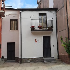 Casa Vacanze Dante Bed & Breakfast San Pietro a Maida Exterior photo