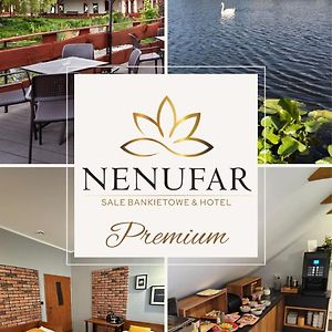 Hotel Nenufar Premium คอสเชียน Exterior photo