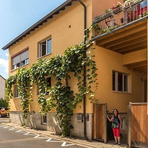 Unter Den Reben Apartment Niederkirchen bei Deidesheim Exterior photo