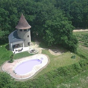 Le Tour De Vigne - Windmill In Neuffons Villa Le Puy Exterior photo