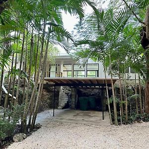 Coconut Grove Mid-Century Jungle Oasis Villa ไมอามี Exterior photo