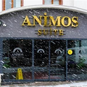 Animos Butik Otel อังการา Exterior photo