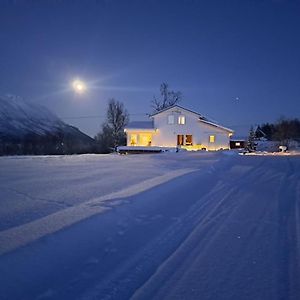 Mountainside Lodge - Breivikeidet ทรอมโซ Exterior photo