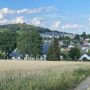 Ferienwohnung Greifenbach, Gartennutzung, Haustiere Willkommen Geyer Exterior photo