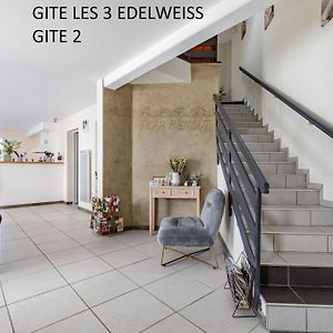 Les 3 Edelweiss - Gite 1 Ou Gite 2 อเรตต์ Exterior photo
