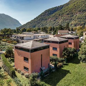 Splendido Attico Per Chi Ama Escursioni Nella Natura Apartment Grono Exterior photo