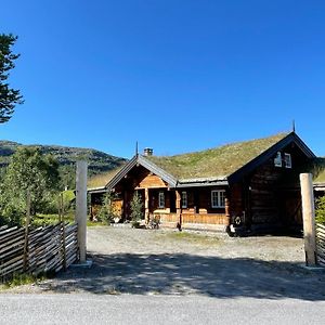 Solsetra - Mountain Majesty Family Log Cabin Villa ฮอฟเดิน Exterior photo