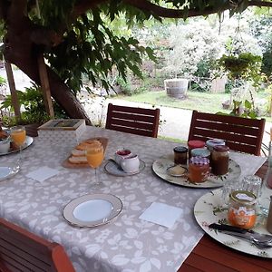 Au Bosquet, Chambre Et Salle De Bains Avec Petit Dejeuner A 600 M Du Centre Dans Un Cadre Calme Et Verdoyant Bed & Breakfast ซาลีส์-เดอ-เบอาร์น Exterior photo