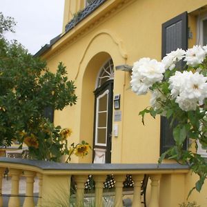 Gutshaus Mit Seeblick - Oekologisch & Nachhaltig Apartment Lubow Exterior photo