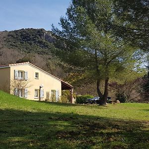 Maisons Situees Dans Le Vaste Domaine De L'Espinet Villa กีญ็อง Exterior photo