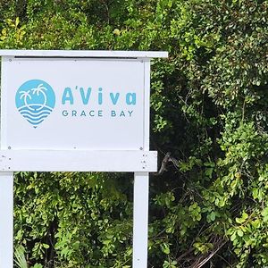 A'Viva Grace Bay - Alta3 Villa The Bight Settlements Exterior photo