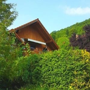 Wohnung In Bad Ditzenbach Mit Eigenem Garten Exterior photo