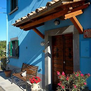 Blue House Near Bagnoregio-Overlooking The Umbrian Mountains And Tiber Valley Villa San Michele in Teverina Exterior photo