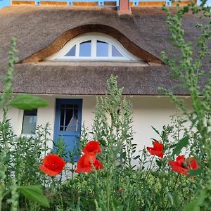 Reetsnacker - Ferienhaus Mit Kamin, Sauna Und Whirpool Fuer 8 Personen Villa Pepelow Exterior photo