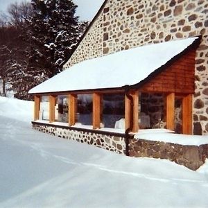 Gite De Charme Au Coeur Des Volcans D'Auvergne, Proche Super-Lioran, Nature Et Histoire - Fr-1-742-458 Villa Dienne  Exterior photo