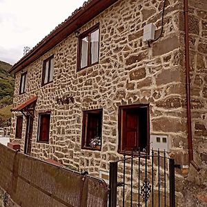 Las Monas Casa Rural โปลา เด เลนา Exterior photo