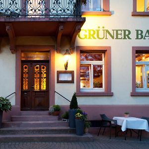 Hotel & Restaurant Gruener Baum Merzhausen ไฟรบวร์กอิมไบรส์เกา Exterior photo