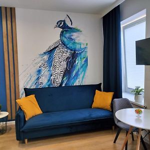 Noclegi Duet House Studio Blue Bird Piekna 2 Wejscie Na Kod Centrum Ptak, Orientarium, Mandoria, Fala, Centrum Zdrowia Matki Polki, Bezplatny Parking, Klimatyzacja พาเบียนิเซ Exterior photo