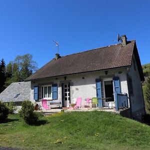 Maison De Caractere Avec Jardin, 5 Pers., Condat - Parc Des Volcans D'Auvergne - Fr-1-742-117 Villa Exterior photo