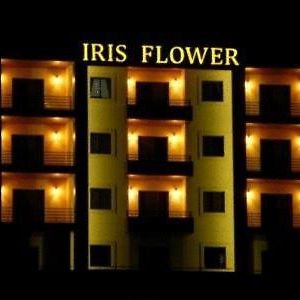 Iris Flower Hotel เจซซีน Exterior photo