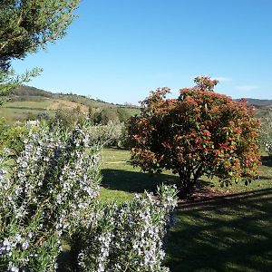 Agribike Agriturismo Poggio Rossino Guest House กาวอร์ราโน Exterior photo